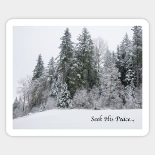 Winter Peace Sticker